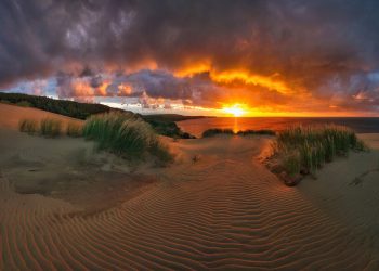 Piękne plaże Połągi i Mierzeja Kurońska